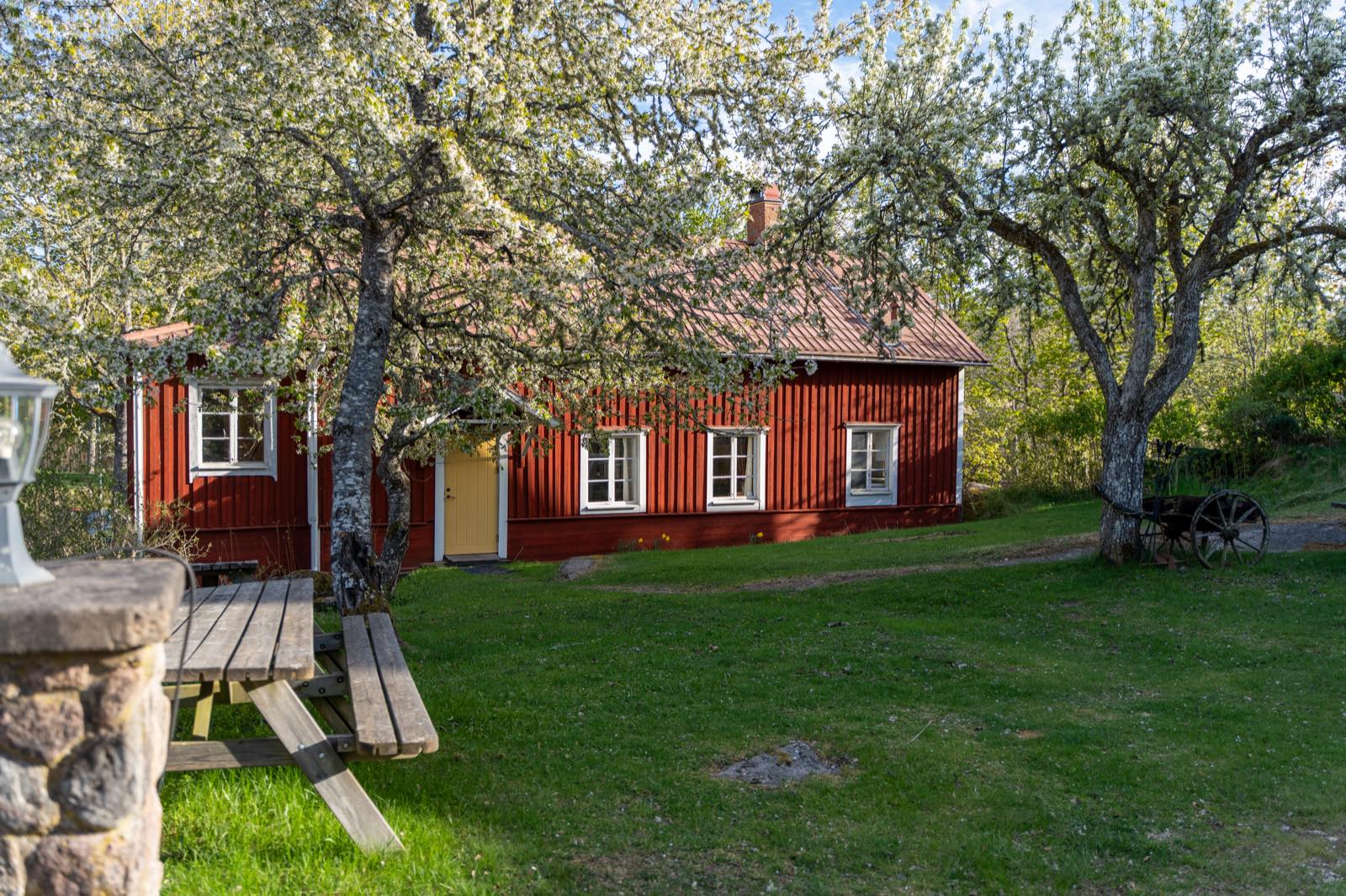 Det röda Allhuset i grönskan med blommande fruktträd