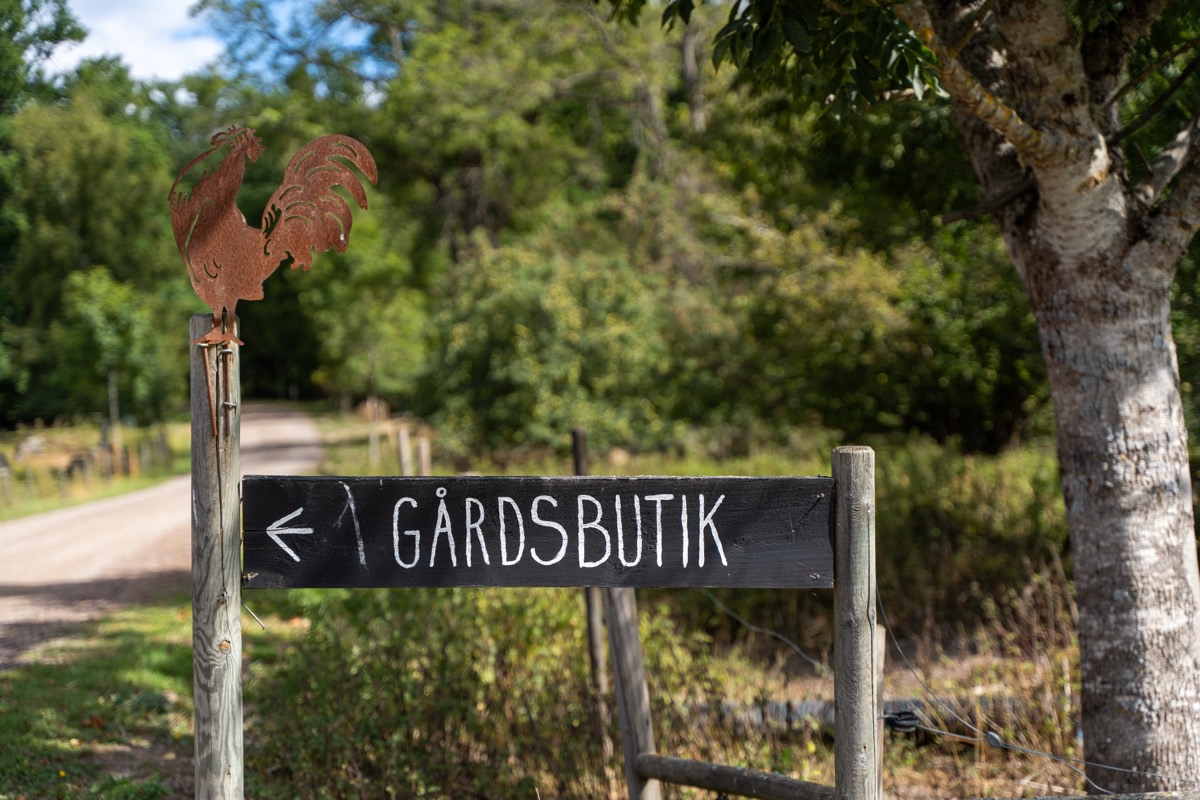 Handmålad skylt ”Gårdsbutik” med rosttupp vid infarten